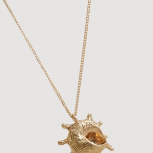 Product 06